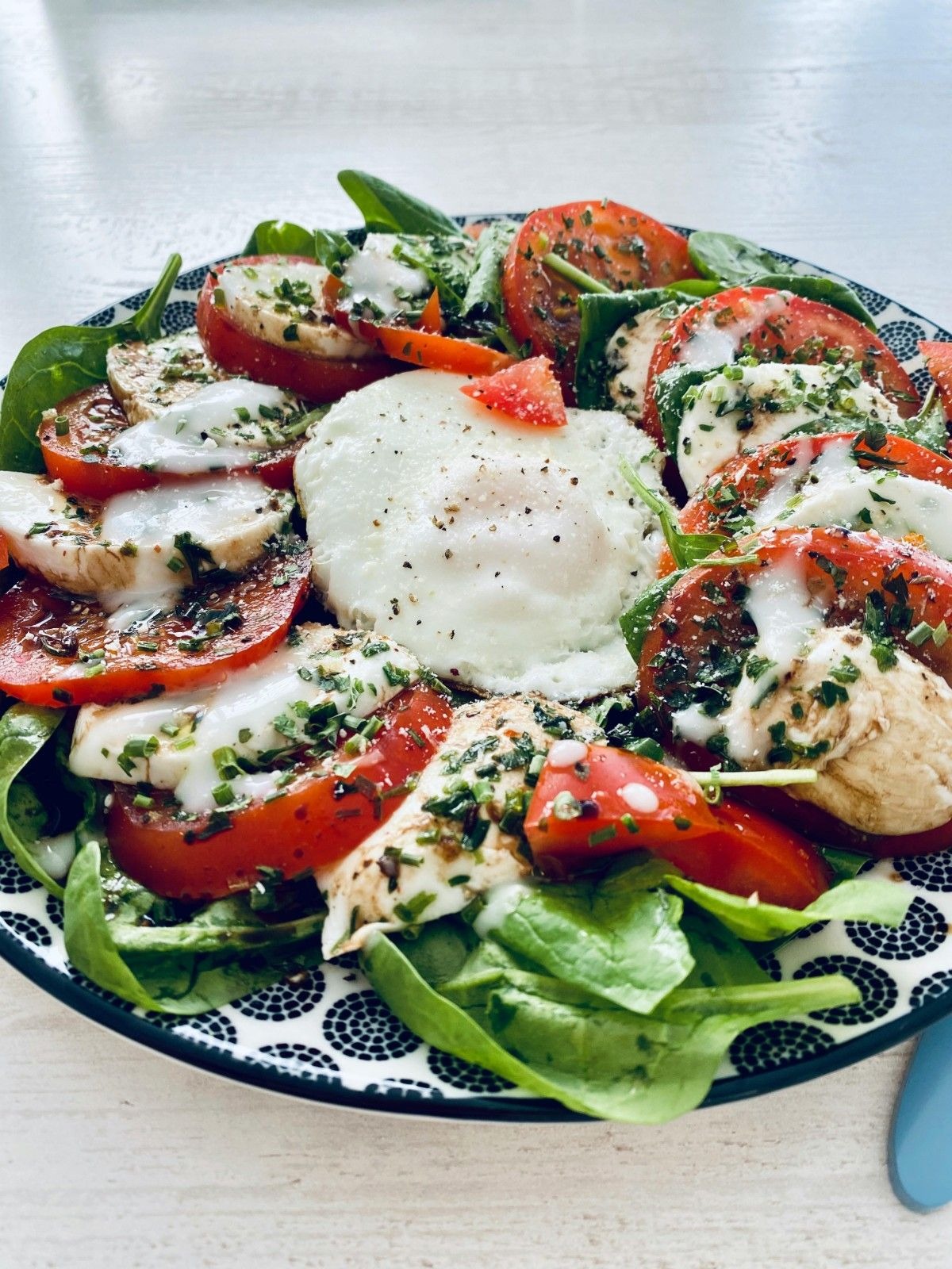 caprese salad recipe ebook caprese salad recipe ebook
